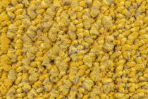 Desso Marvel 6214 фото 4 | FLOORDEALER